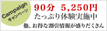 ｷｬﾝﾍﾟｰﾝ情報
